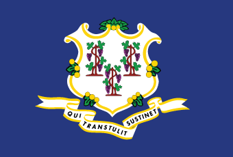 Connecticut Flag