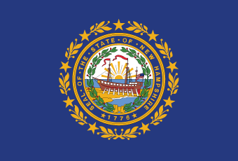 New Hampshire Flag